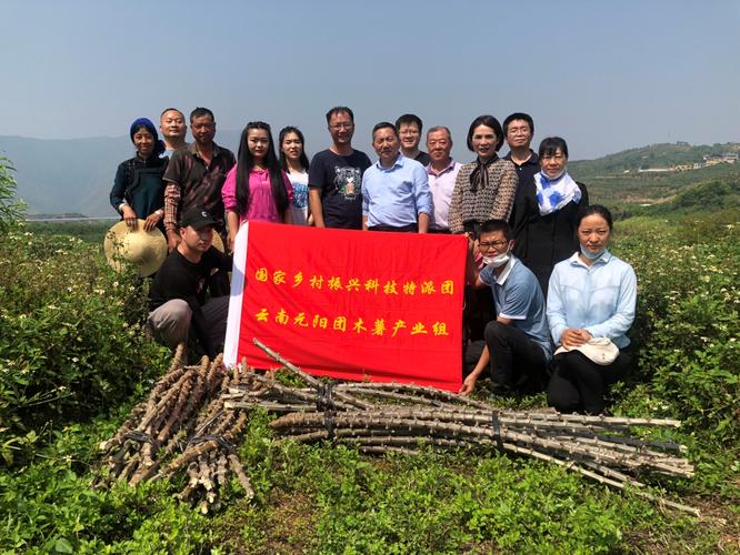 为加强木薯新品种,新技术,新模式在元阳县的推广运用,科技特派团木薯
